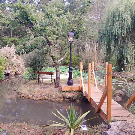 Domaine D'Avalon Guest House Lorgues Luaran gambar